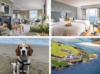 dunmore house hotel that allows big dogs in ireland.jpg