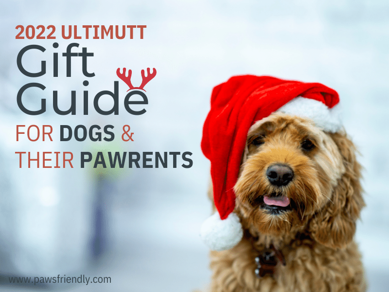 gift_guide_for_dogs_and_their_owners.png