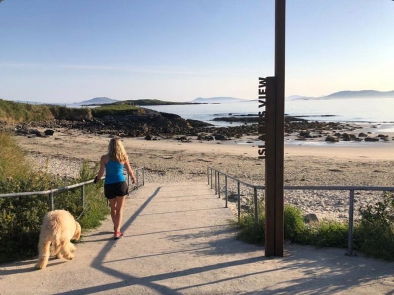 what-to-do-with-a-dog-in-connemara.jpg