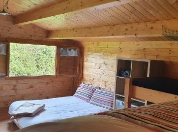 Purecamping off-grid wooden pet-friendly cabins in Clare.jpg