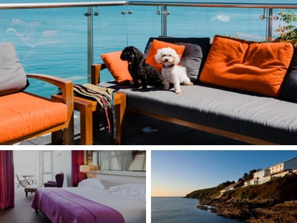 dog-friendly-cliff-house-hotel.jpg