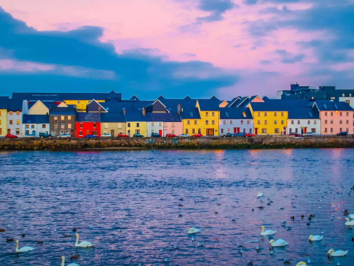 dog_friendly_accommodation_in_galway_houses_on_the_sea.jpg