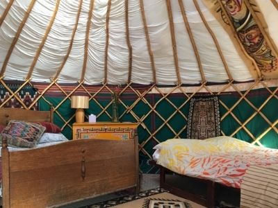 dog-friendly glamping with dog-friendly yurts in cork.jpg