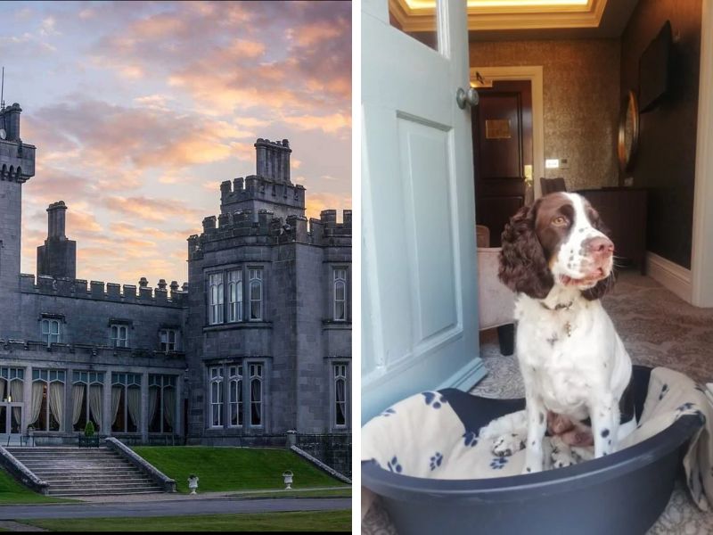 play_golf_at_one_of_the_best_dog_friendly_hotels_in_the_heart_of_ireland_the_dromoland.jpg