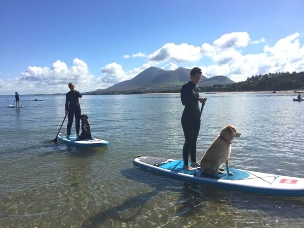 dog friendly paddle boarding  Summer SUP in cork.jpg