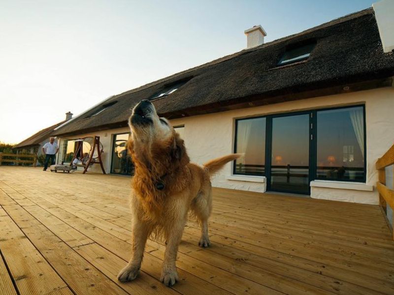 baysidecottage_connemara_a_luxury_dog_friendly_cottage_on_wild_atlantic_way.jpg