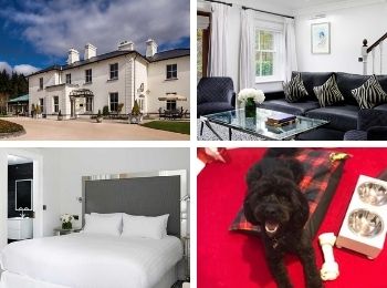 The Lodge at Ashford Castle an Irish hotel that allows dogs.jpg