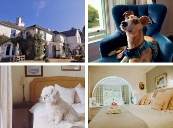 Cashel House Hotel 4-star hotel that allows dogs .jpg
