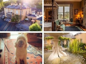 The Mustard Seed country house pet friendly luxury hotel.jpg