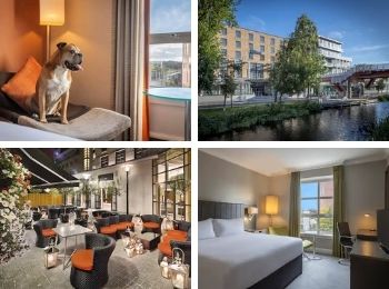 Large Dog Friendly Hotel Hilton Dublin.jpg