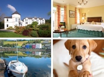 Seaview House Hotel and Spa Hotel That Allows 2 Dogs.jpg